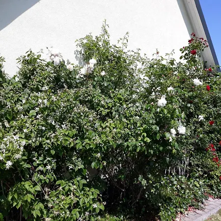 Ferienwohnung Ott Amelinghausen Exterior photo