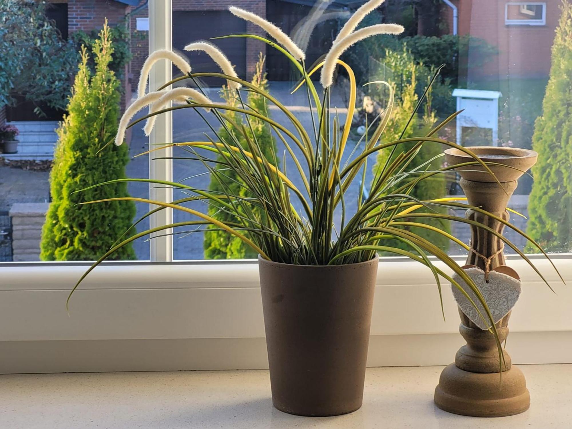 Ott Apartamento Amelinghausen
